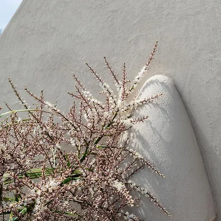 Loft Living Parkview *